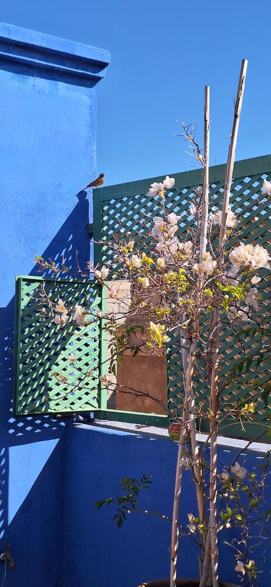 Riad Med Agora Marrakesh Luaran gambar