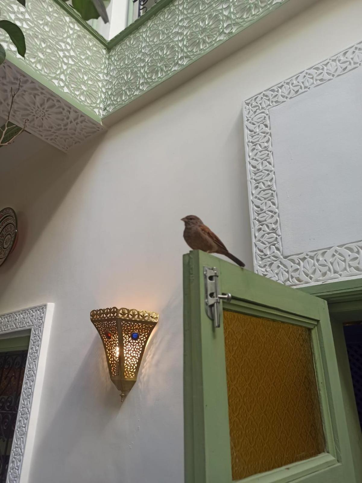 Riad Med Agora Marrakesh Luaran gambar